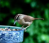 K1600_005.webp