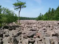 boulderf (3).webp