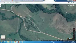 genipapo01.webp