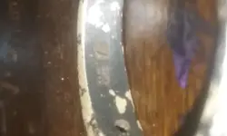 20180615_194057.webp