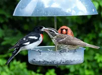 K1600_036.webp