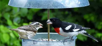 K1600_044.webp