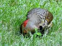 K1600_055.webp