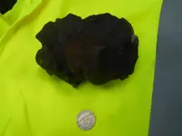DSCN1021.webp