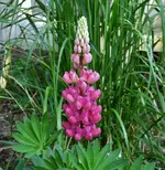 K1600_061.webp