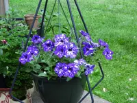 K1600_006.webp
