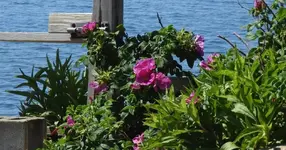 K1600_117.webp K1600_117.webp