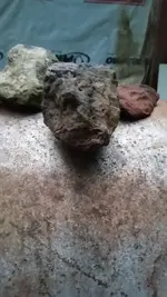 20180624_200124.webp