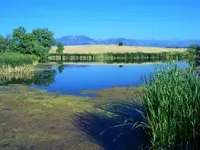walk 071418 3.webp