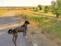 walk 071418 5.webp