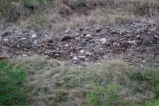 ImageUploadedByTreasureNet.com1527597480.337344.webp