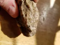rock1.webp