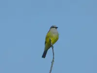 walk 052818 1.webp