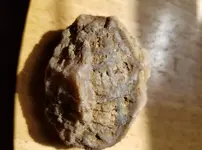rock2.webp