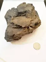 rock1.webp