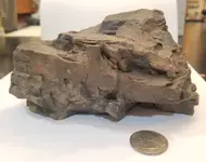 rock2.webp