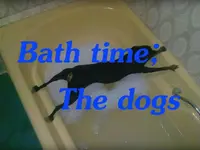 Bath time.webp