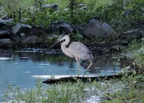 K1600_006.webp