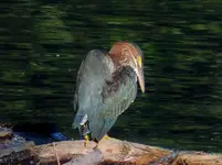 K1600_060.webp