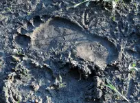 K1600_030.webp