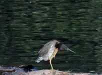 K1600_075.webp