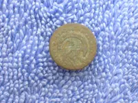 Eagle button Tracy Case Place.webp