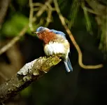 DSCN1389.webp