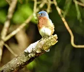 DSCN1392.webp