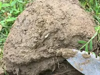 Silver Edge in Hole.webp