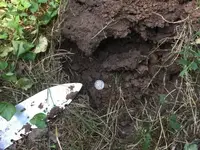 Merc in the Hole.webp
