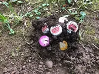 beercap spill.webp