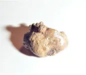Gold Before Cleaning.webp Gold Before Cleaning.webp
