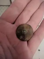 button2.webp