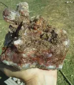 20180607_081309-1-1.webp