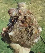 20180607_081157-1.webp