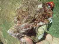 20180607_083303.webp