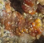 20180607_081253-2.webp