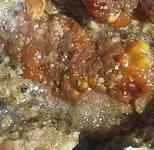 20180607_081253-1.webp