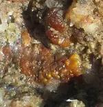 20180607_081256-1-1.webp