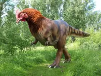 dinosaur-chicken-hybrid.webp
