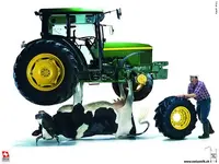 2018.02.09 - tractor-cow-jack.webp 2018.02.09 - tractor-cow-jack.webp