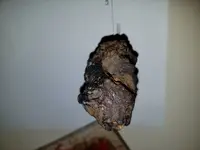 20180801_103048.webp