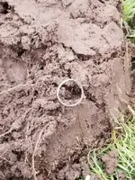 20180714_081922.webp