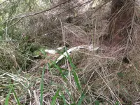 IMG_8397[1].webp