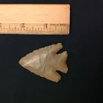 image.webp