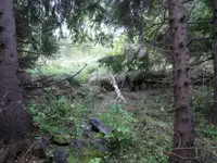 Namnlös.webp