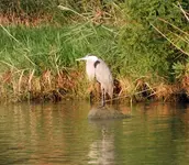 DSCN6238.webp