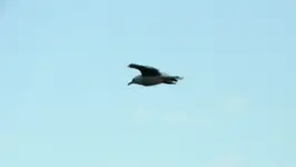 DSCN6417.webp
