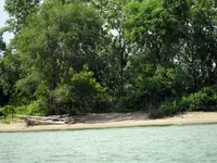 DSCN6337.webp
