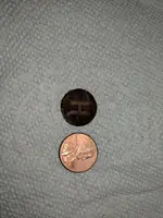 IMG_20180714_221257.webp